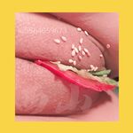 青春無敵 長江後浪推前浪 推特私密圈收集各大網紅小姐姐抖音風變裝BGM裸舞風格奇葩另類