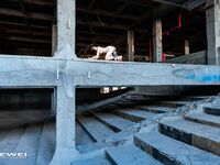 出山就封神！推特超強SM大神【奴印文化】五位御用極品反差女奴推特勁爆調教原版無水印小雲朵-xiaoyunduoya