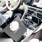 推特超極品女神『晗晗』超極品女神極品美乳鮑魚一線天 極品蜜桃臀 後入簡直爽爆 高清2