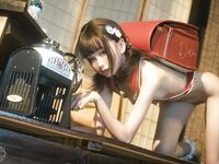 金魚kinngyo -夏日の時光