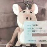 數百位網紅良家母狗性愛甄選 爆乳豐臀網紅美女各種啪操 完美露臉 高清