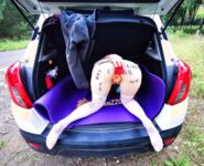 各類人氣色影師潛規則極品網紅性愛私拍流出 胯下女神淪為淫盪母狗 性愛女神篇 高清