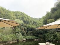 走另類情色唯美路線的攝影大咖AMA女體藝術私拍各種露臉極品反差美模觀感另一種滋味