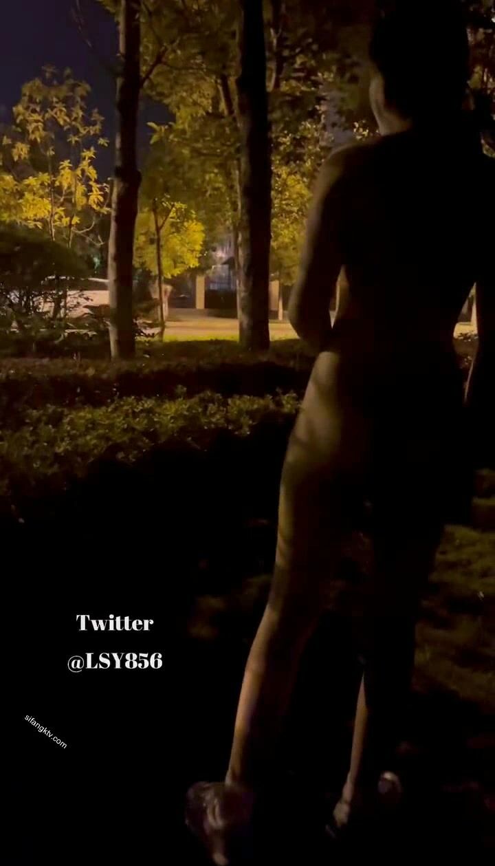 最新推特七位人氣蘿莉女主露出私拍 戶外野戰全裸路邊翹美臀後入啪啪林淑怡 (8)