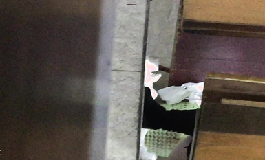 廁拍精品模特公司 女廁偷拍美女模特噓噓 個個都是高顏值美女顏值堪比明星 (16)