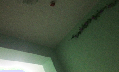 極品性愛 鑽石泄密 第4季 高清4K級畫質 真實流出 吸D後亂倫多P運動各種亂操約炮 高清 (1)